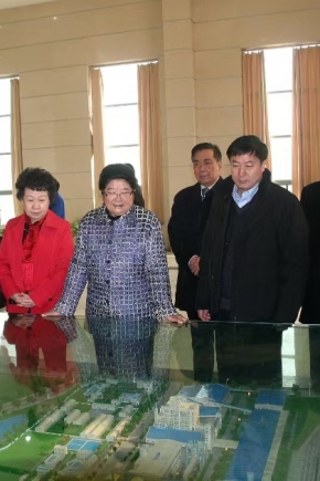 2011年12月14日，第十届全国人大常委会副委员长顾秀莲、中国石油和化学工业联合会长李勇武等参加铜化集团成立20周年庆典，莅临公司视察。